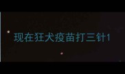 现在狂犬疫苗打三针