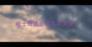 哈士奇适合的名字大全