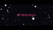 海宁哪里拉布拉多