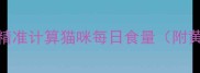 科学喂养指南如何精准计算猫咪每日食量附黄金公式与常见误区