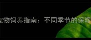 狗狗最适宜气温是多少宠物饲养指南不同季节的保暖降温技巧与科学护理方案