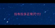 拉布拉多正常尺寸
