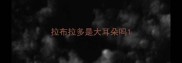 拉布拉多是大耳朵吗