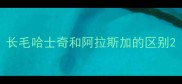 长毛哈士奇和阿拉斯加的区别