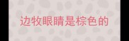 边牧眼睛是棕色的