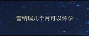 雪纳瑞几个月可以怀孕