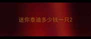 迷你泰迪多少钱一只