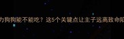 巧克力狗狗能不能吃这5个关键点让主子远离致命陷阱