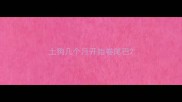 土狗几个月开始卷尾巴