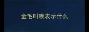 金毛叫唤表示什么