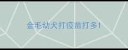 金毛幼犬打疫苗打多
