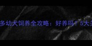 拉布拉多幼犬饲养全攻略好养吗5大关键点