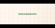 狗狗咬到癞蛤蟆有毒吗