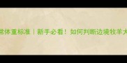 边牧两个月正常体重标准新手必看如何判断边境牧羊犬幼犬是否健康