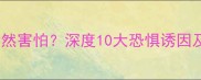 狗狗为什么会突然害怕深度10大恐惧诱因及科学应对策略