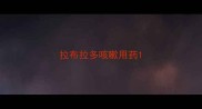拉布拉多咳嗽用药