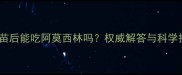 猫接种疫苗后能吃阿莫西林吗权威解答与科学护理指南