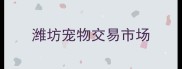 潍坊宠物交易市场