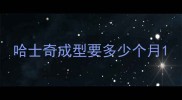 哈士奇成型要多少个月