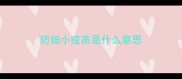 防细小疫苗是什么意思