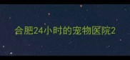 合肥24小时的宠物医院