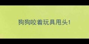 狗狗咬着玩具甩头