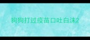 狗狗打过疫苗口吐白沫