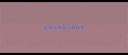 红哈士奇背上有白毛