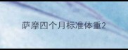 萨摩四个月标准体重
