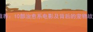 日本拉布拉多电影推荐10部治愈系电影及背后的宠物故事附观影指南