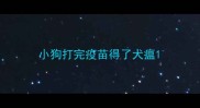小狗打完疫苗得了犬瘟