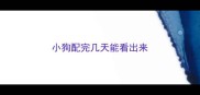 小狗配完几天能看出来