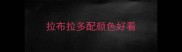 拉布拉多配颜色好看