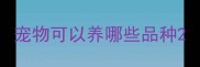 宠物可以养哪些品种