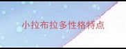 小拉布拉多性格特点
