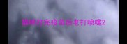 猫咪打完疫苗后老打喷嚏