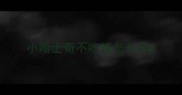 小哈士奇不吃饭怎么办