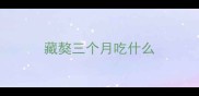 藏獒三个月吃什么