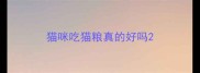 猫咪吃猫粮真的好吗