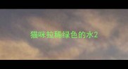 猫咪拉稀绿色的水