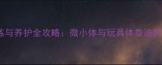 泰迪犬训练与养护全攻略微小体与玩具体泰迪的培育指南