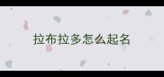 拉布拉多怎么起名
