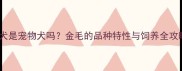 金毛犬是宠物犬吗金毛的品种特性与饲养全攻略