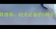 两个月大萨摩耶玩具推荐幼犬必备的5种安全玩具及选购指南