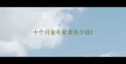 十个月金毛能卖多少钱