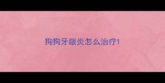 狗狗牙龈炎怎么治疗