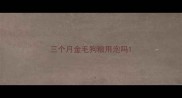 三个月金毛狗粮用泡吗