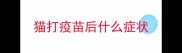 猫打疫苗后什么症状