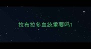 拉布拉多血统重要吗