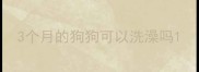 3个月的狗狗可以洗澡吗